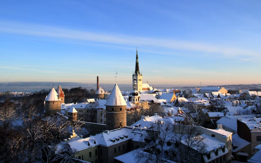 Tallinn and Estonian nature tour